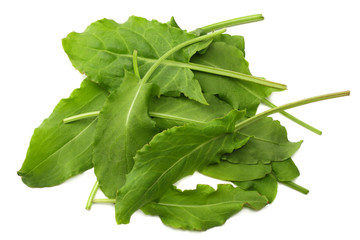 fresh sorrel, garden sorrel, rumex acetosa, green leaves, isolated on white background. Top view