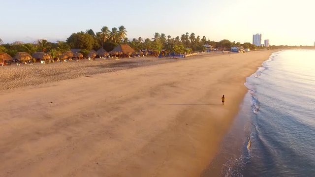 Young man walking on a virgin tropical beach aerial drone view.  Caribbean golden unspoiled pristine sand beach next to the crystal blue waters. Top view of a young man walking through paradisiacal be
