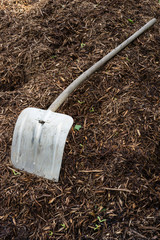 shovelor spade in gardening earth, tool for farming