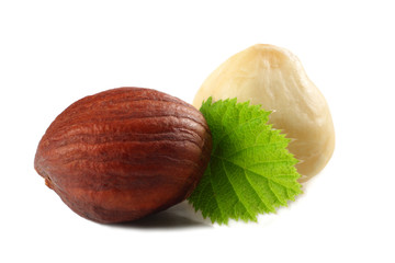two hazelnuts isolated on a white background. macro