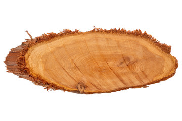 oblong wood slice cross section rings of tree, Juniper texture, close up, isolated on white background