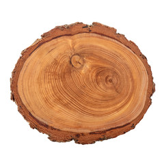 wood slice cross section rings of tree, Juniper texture, close up, isolated on white background