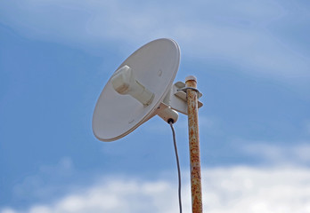 little dish antenna