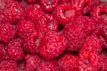 background of juicy red raspberry berry close-up