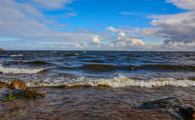 Windy autumn day on the shore of lake Ladoga.