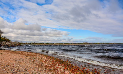 Windy autumn day on the shore of lake Ladoga.