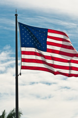 Front view, medium distance of an american flag waving in a breezy d, summer, sunny day in a tropical location in USA