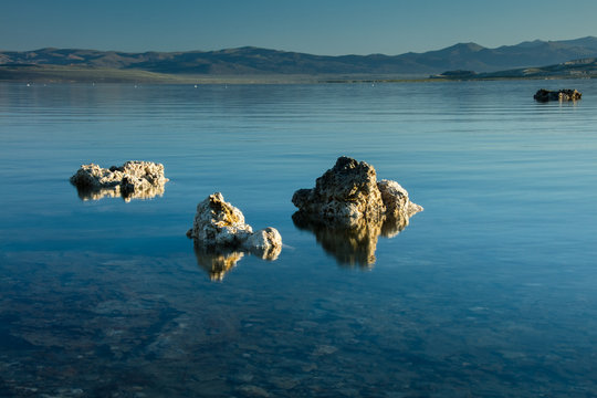 Tufas Bilder Durchsuchen 646 Archivfotos, und Videos