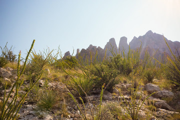 Organ Mountains, New Mexico, United States, Desert