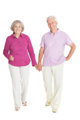 portrait of  senior couple posing