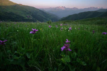 Fototapeta premium Summer landscape of a mountain valley with a Chaukhi mountain range at the background. Mountains at sunrise.