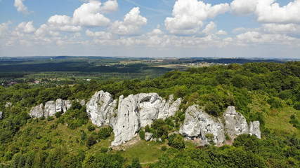 Skały Rzędkowickie - Jura Krakowsko-Częstochowska © Tomasz Warszewski