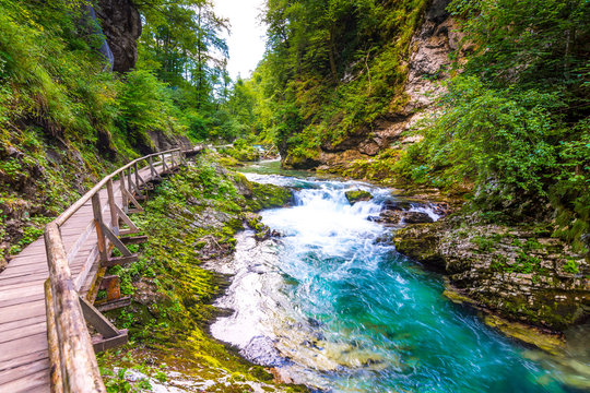 Vintgar gorge, Slovenia. River near the Bled lake with wooden tourist paths, bridges above river and waterfalls. Hiking in the Triglav national park. Fresh nature, blue water in the forest. Wild trees