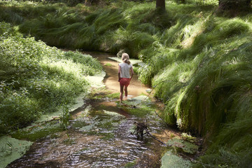 Fototapeta na wymiar Child cute blond girl playing in the creek. Gril walking in forest stream and exploring nature. Summer children fun. Children summer activities