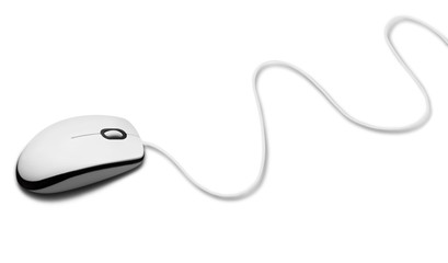 Computer Mouse