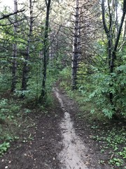 Fototapeta premium summer at the lake