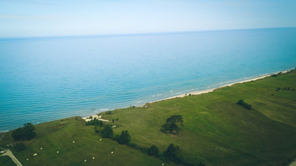 Aerial view of tree near coastline Jurkalne, Baltic sea, Latvia