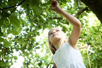 Child cute girl playing and climbing on apple tree at summer garden