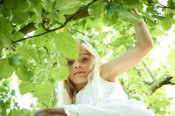 Child cute girl playing and climbing on apple tree at summer garden