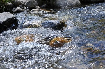 Close Up of Stream and Rock