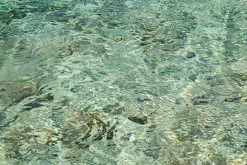 Fototapeta na wymiar Clean Croatian Sea Water