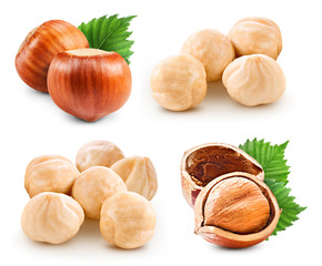 Hazelnuts isolated on white