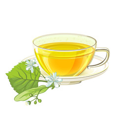 Glass cup of tea with linden. Vector illustration isolated on white background.