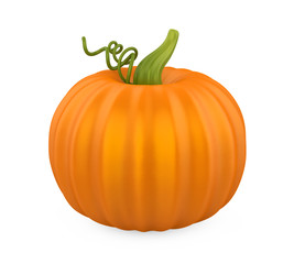 Obraz premium Pumpkin Isolated