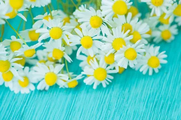 Kamillenblüten © DoraZett