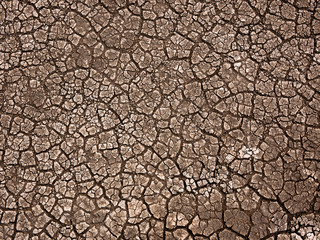 Cracked earth soil background