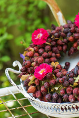 Kranz mit getrockneten Hagebutten