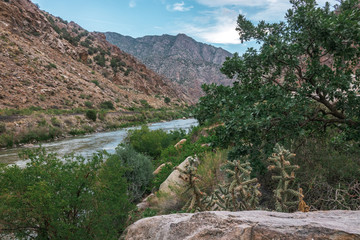 Canon City Landscape