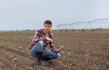 Farmer with tablet in corn field in spring