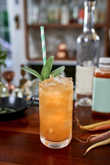 a shot of a modern gourmet craft cocktail of fruit juice gin and tonic garnished by a sprig of mint on a bar with fresh vegetables in a restaurant