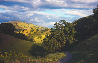A View of Mt. Diablo