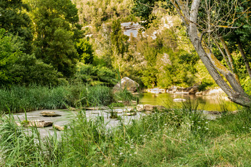 natura © Isaac