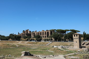 Circus Maximus and Palatine in Rome, Italy  - obrazy, fototapety, plakaty