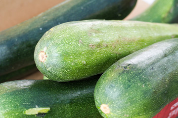 Farm Fresh Zucchini Harvested And Ready To Be Sold, Canned Or Consumed