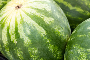 Fresh Watermelon Ready to Be Sold At Market