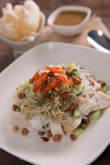 Ketoprak. Indonesia food