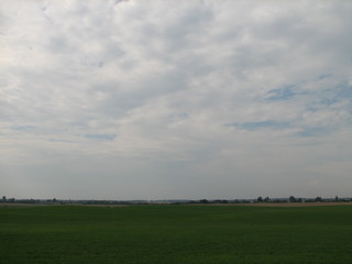 field