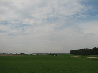 field