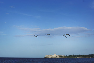 malecon