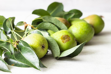 Fresh ripe organic pears with leaves. Natural background, diet food.