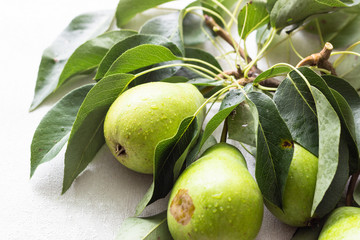 Fresh ripe organic pears with leaves. Natural background, diet food.