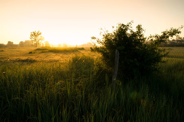 Sunrise in the countryside