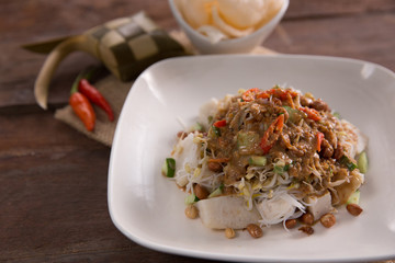 Ketoprak. Indonesia food