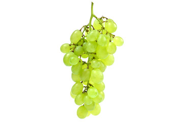 White bunch of grape on isolated white background