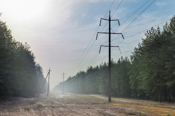 Forest glade with power transmission line right-of-way. Electrical supply wires in fog at early...