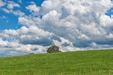 Idyllic landscape in the Alps with green meadows and clouds